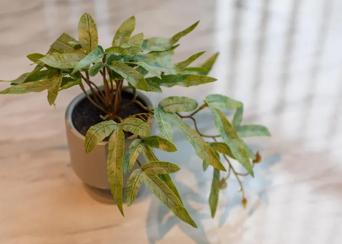 Marsh Lux 2 아파트