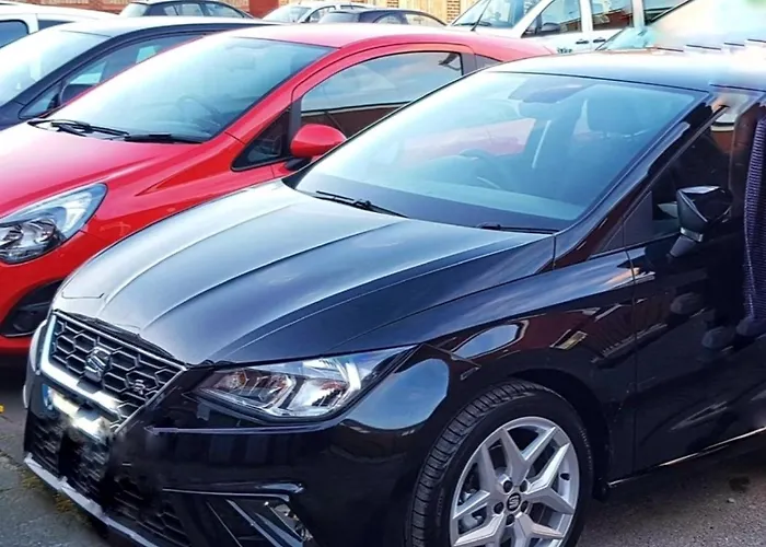 Lovely, Spacious 1-bedroom With *free Parking *