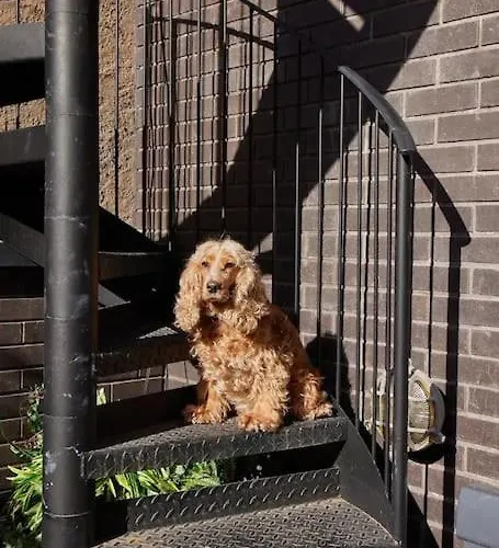 Hammock Heights! Hot Tub,private Garage,citycentre Apartmán Manchester