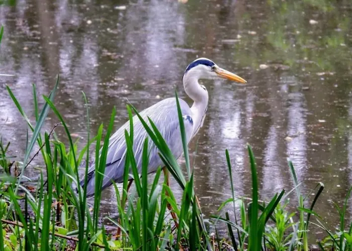 Chorlton Stylish & Roof Terrace *