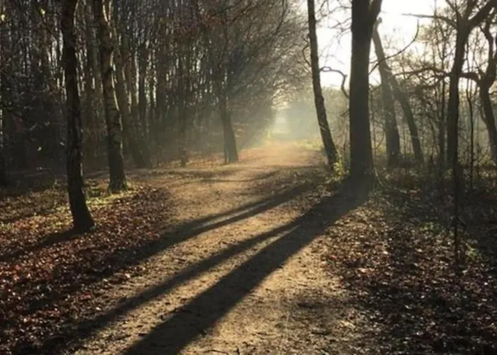 Daire Chorlton Stylish & Roof Terrace Manchester