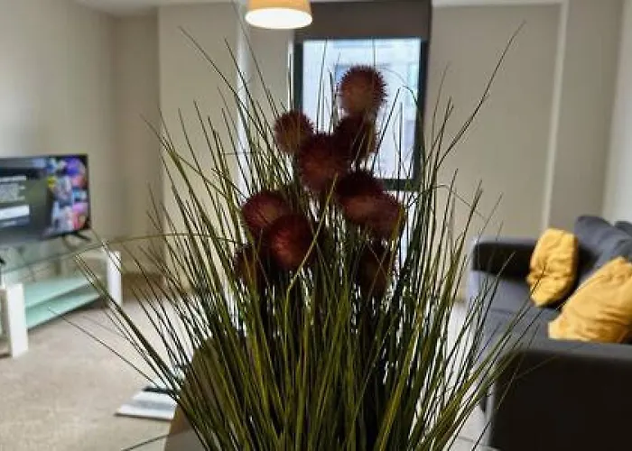 Fab 1 Bed In Sleeps 2 Manchester