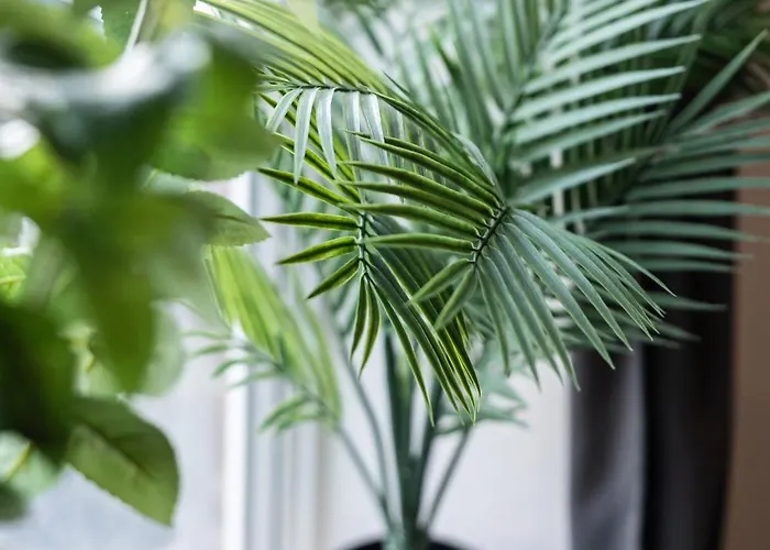 The Heart - Cosy 3 Bedroom House With Double Driveway And Garden In * Manchester