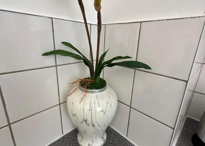 Apartamento 2 Bedroom Flat Close To City, Stadium And Coop Arena *