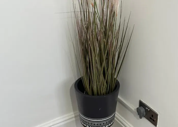 2 Bedroom Flat Close To City, Stadium And Coop Arena Apartament Manchester