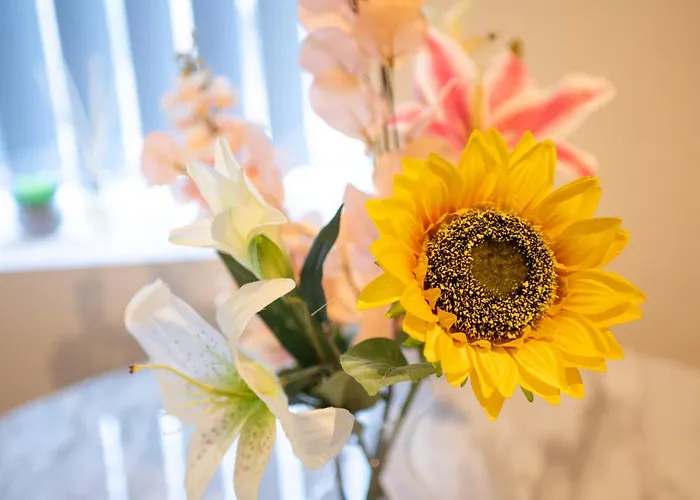 Апартаменты Msrsh Lux 5 Манчестер