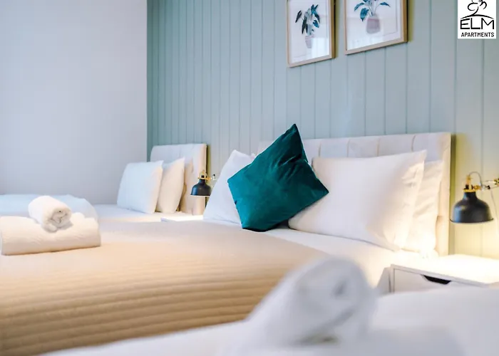 Elm , Collection Of Available Near Media , Free Parking Manchester