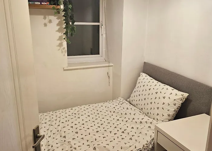 Alexandra Park 맨체스터