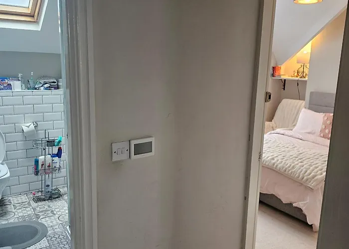 Shaun The Sheep Alloggio in famiglia Manchester