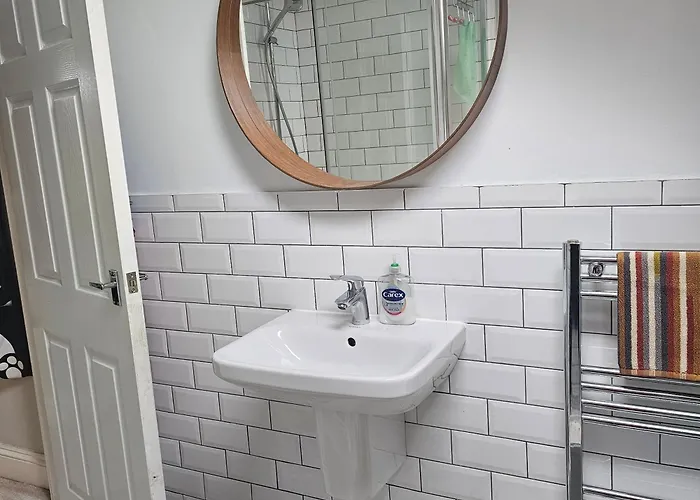 Shaun The Sheep 홈스테이 *