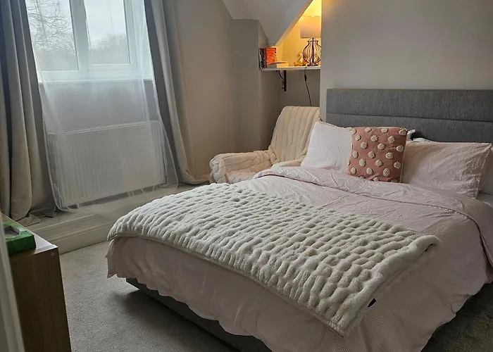 Shaun The Sheep Alloggio in famiglia Manchester