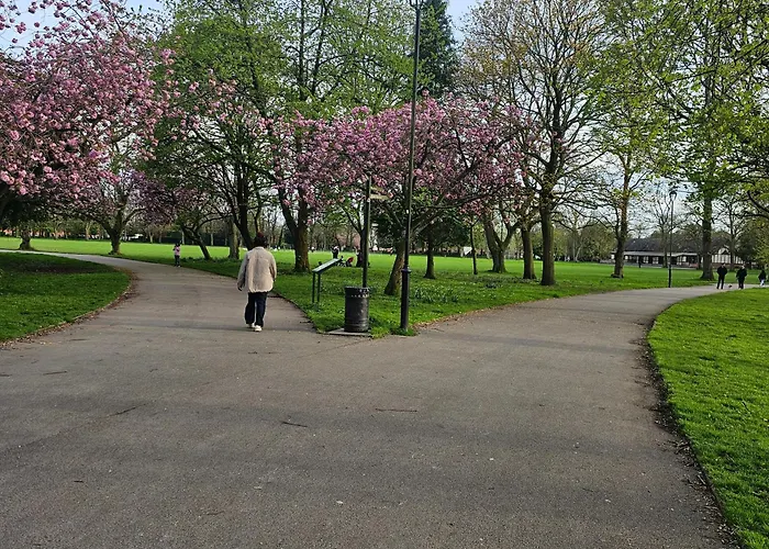 홈스테이 Shaun The Sheep 맨체스터