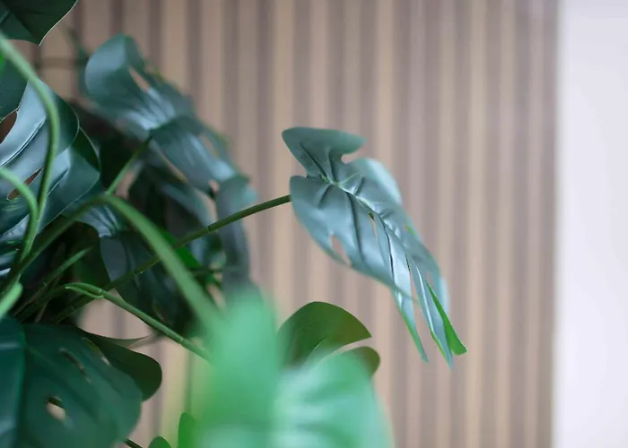 Prázdninový dům Centre House, Perfect For Long Stays! Parking, Wifi, Outdoor Space Manchester