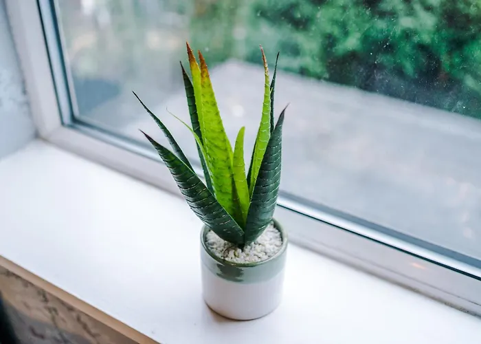 4 Bedroom Victorian House マンチェスター