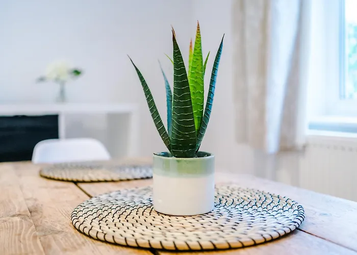 4 Bedroom Victorian House