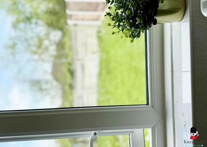 Kozyguru Spacious 3 Bedroom 8ppl Hse 50% Off Long *