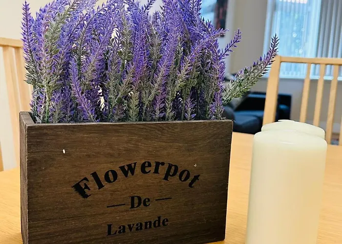 Cosy House Trafford Vakantiehuis