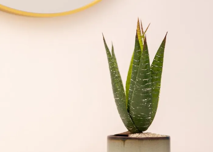 Salford Free Parking *