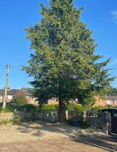 Cheerful 3 Bed Entire House, Newly Refurbished *