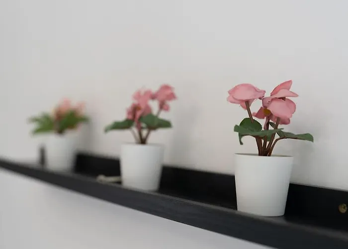 The Stadium Retreat בית נופש