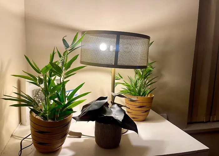 Homestay Luxestay - Old Trafford Manchester