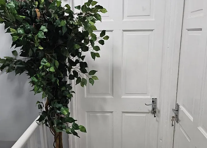 Worem House-2 For 1 맨체스터