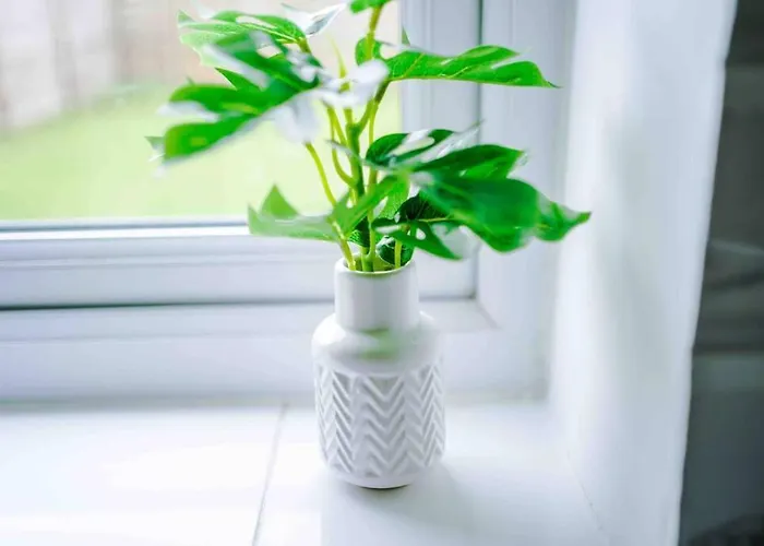 Spacious 4-bed Сasa de vacaciones