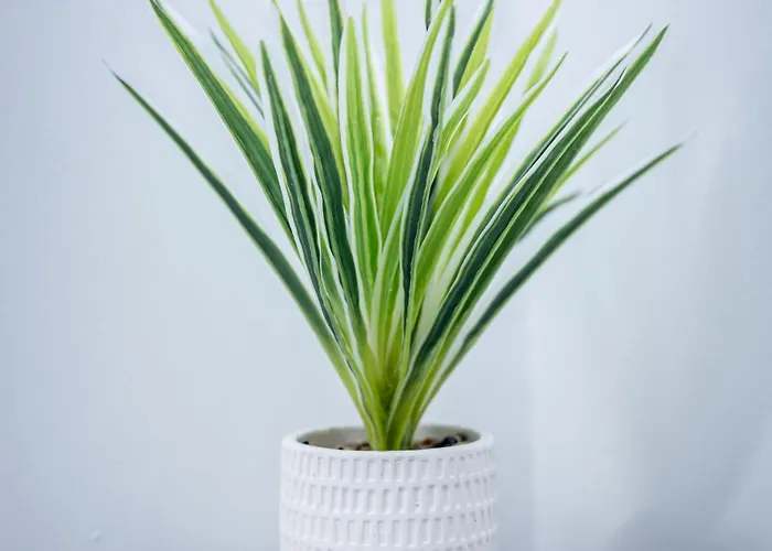 Apartament 1 Bedroom In Chorlton Manchester