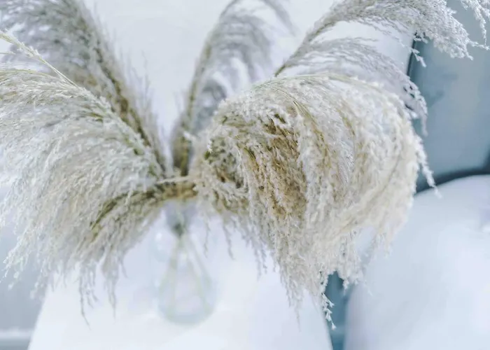 Comfy Four Bedroom House With Parking Prázdninový dům *