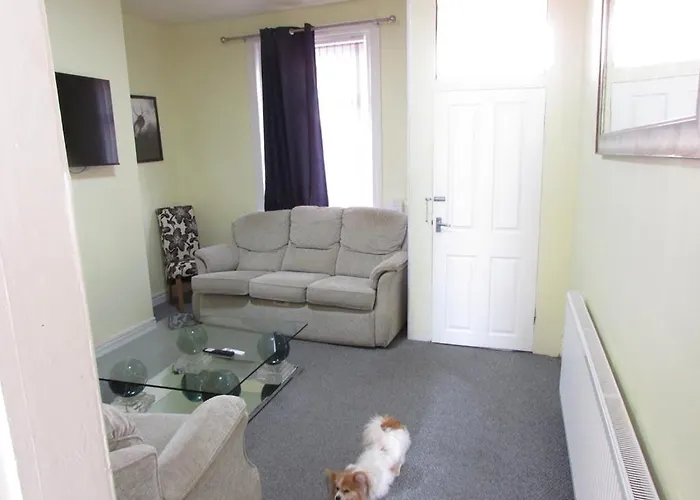 Perfect House For Professionals Vakantiehuis