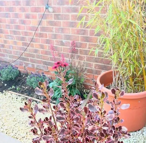 Artistic 3 Bed In Old Trafford Next To Mufc