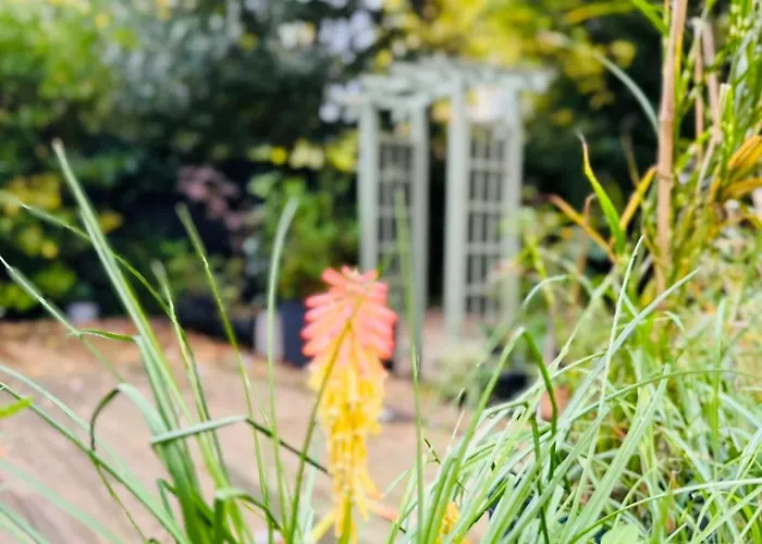 The Secret Garden Retreat With Hot Tub * Manchester