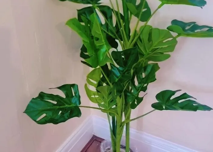 Mancunian Pride * مانشستر