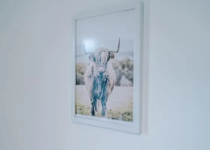 Apartman Sleeps 7, Stunning Home, Free Parking, Perfect For Groups, Long Term Disc