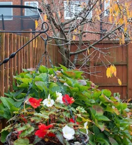 度假居 Coop Arena Luxurious Townhouse *