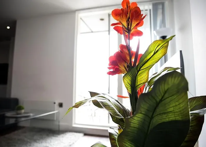 아파트 Modern 2 Bedroom - Centre - Parking *