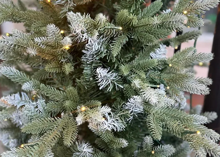 The Westlynne Daire *