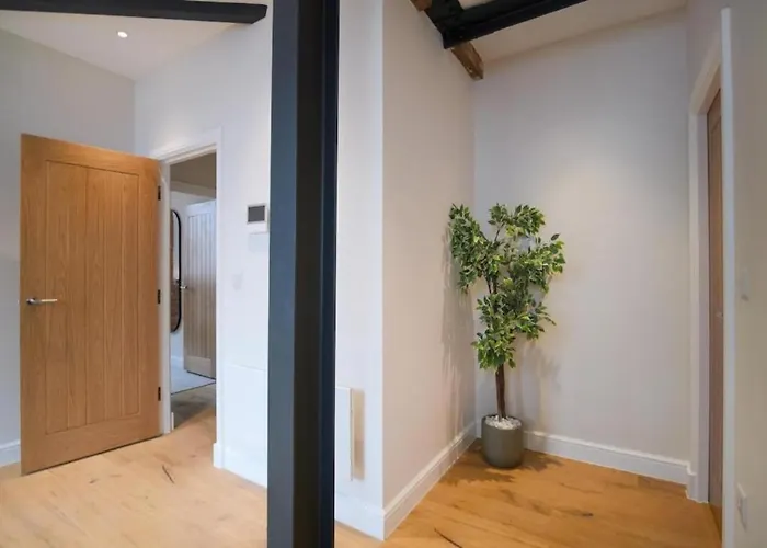 Mechanica By The Heim *