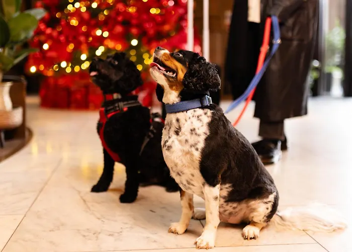 Kimpton Clocktower By Ihg Manchester