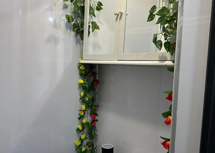 Large Kitchenette Apartment *