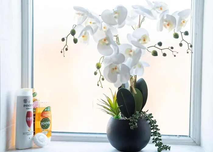 Richmond Retreat - Luxurious And Comfortable Spacious 2 Floor Lejlighed *