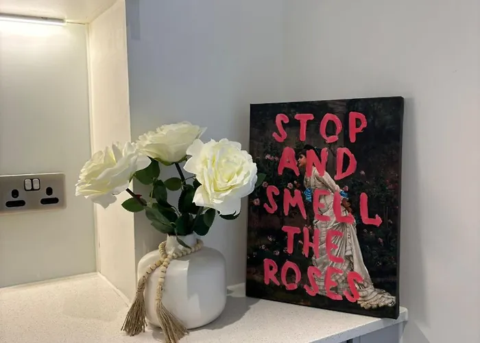 Entire Modern In Centre Daire Manchester