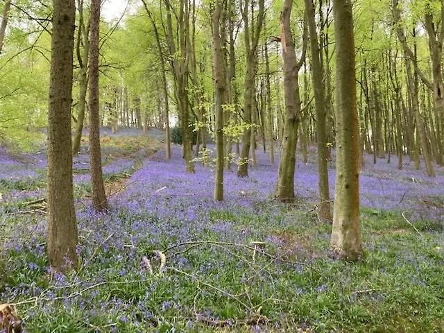 Beautiful Cotswold With Hot Tub *
