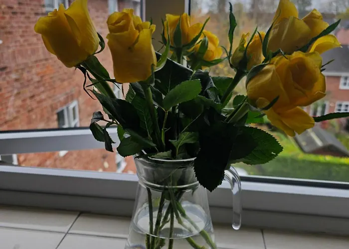 아파트 Alexandra Park