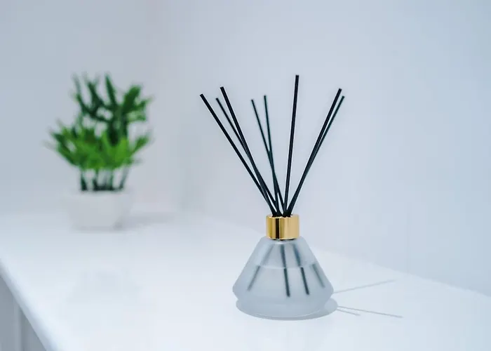 Stylish 3-bedroom House - Brand New *