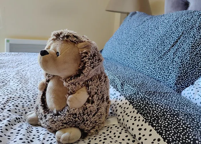 Spacious Homely Near Ao Arena And Shopping Centre With 500mbps Internet & Netflix Manchester