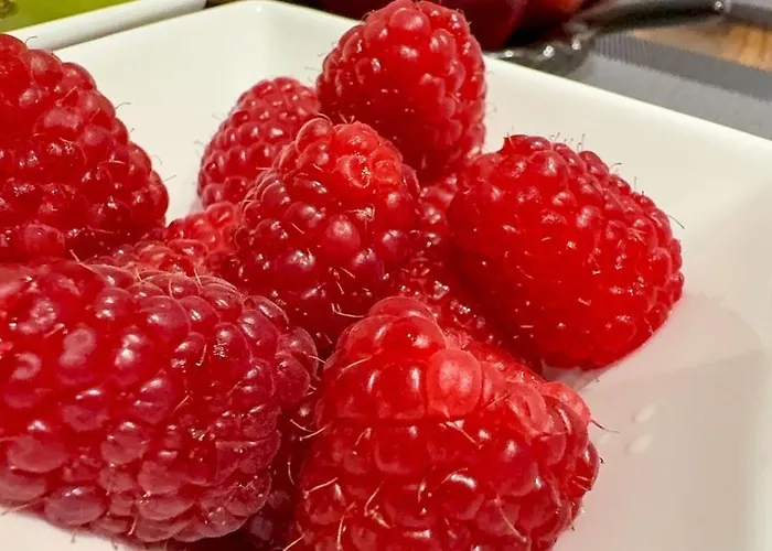 Cozy 5-bed Caldecott Stays-sleep 6 Feriehus