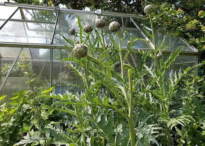 An Oasis Of Calm Next To M'cr Centre + Parking * Manchester