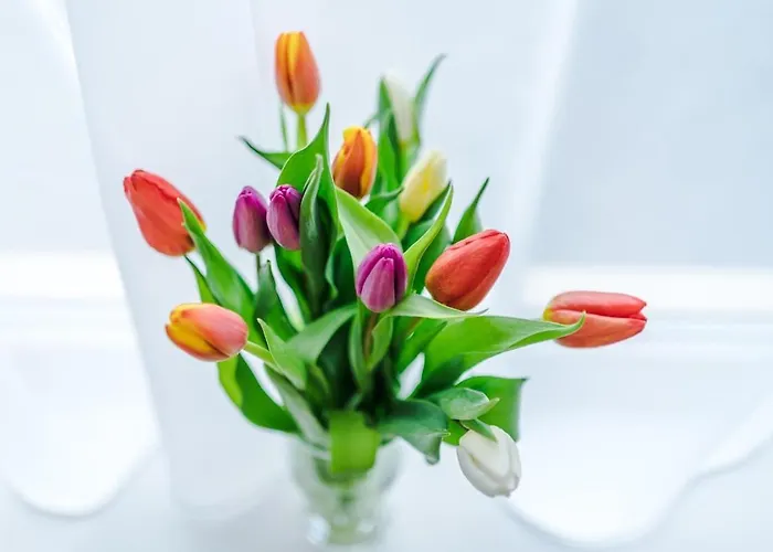 The Stadium Retreat *