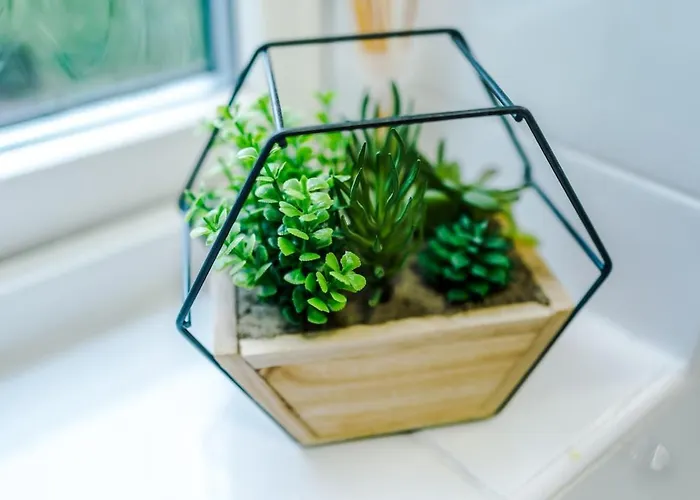 The Stadium Retreat * Mánchester